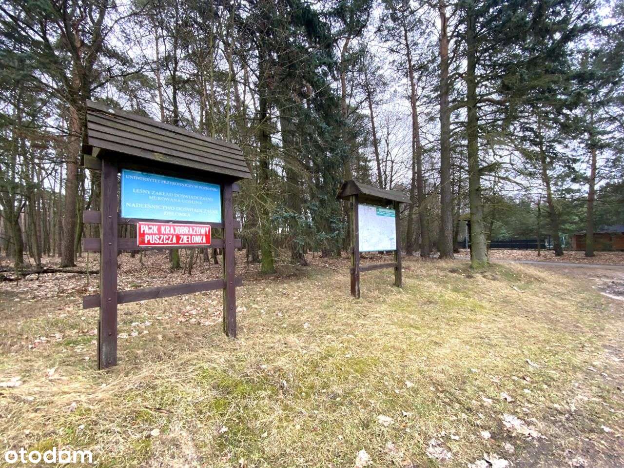 Rozpoczęta Budowa - Płyta Fundamentowa i Porotherm-9