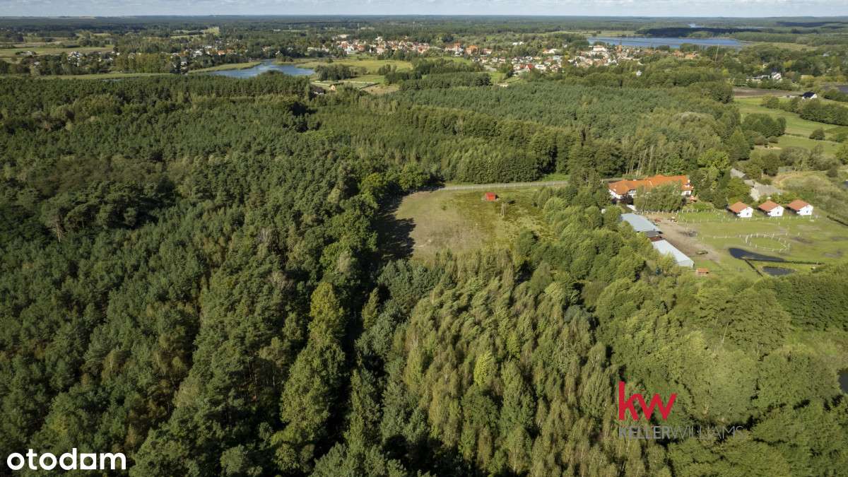 Działka rolna w enklawie leśnej Trzciel-Odbudowa. - Pełny obrazek: 5/12