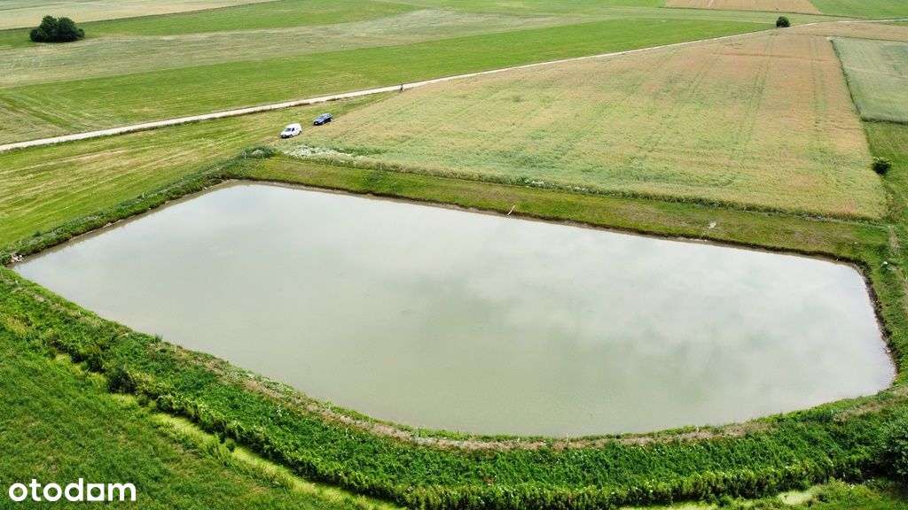 Działka z potencjałem, Agroturystyka, kemping staw - Pełny obrazek: 5/8