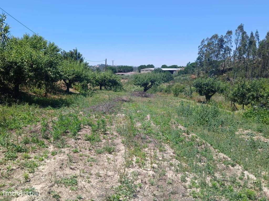 Terreno com projeto aprovado para moradia T3, em Cortes, Leiria.-8