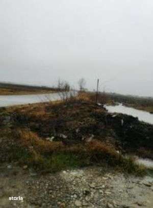 Teren Extravilan Manesti, jud. Prahova - ID: R1979552 - Imagine principală: 4/8