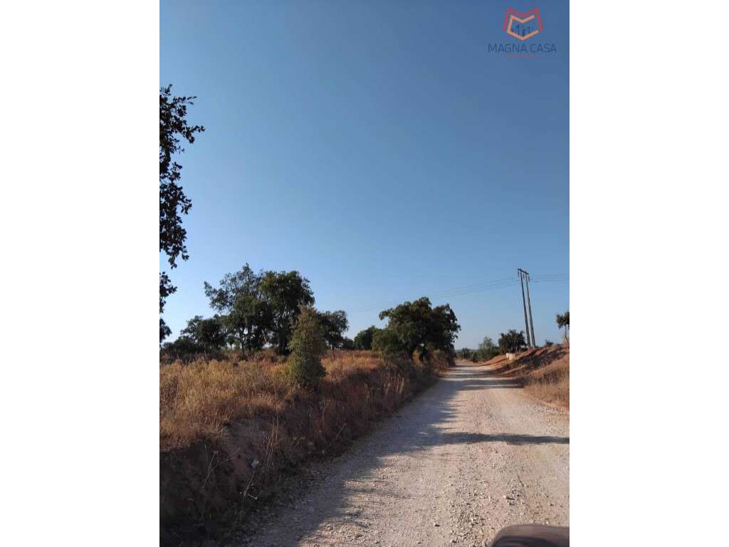Terreno Alcantarilha, Silves, Algarve - Grande imagem: 3/6
