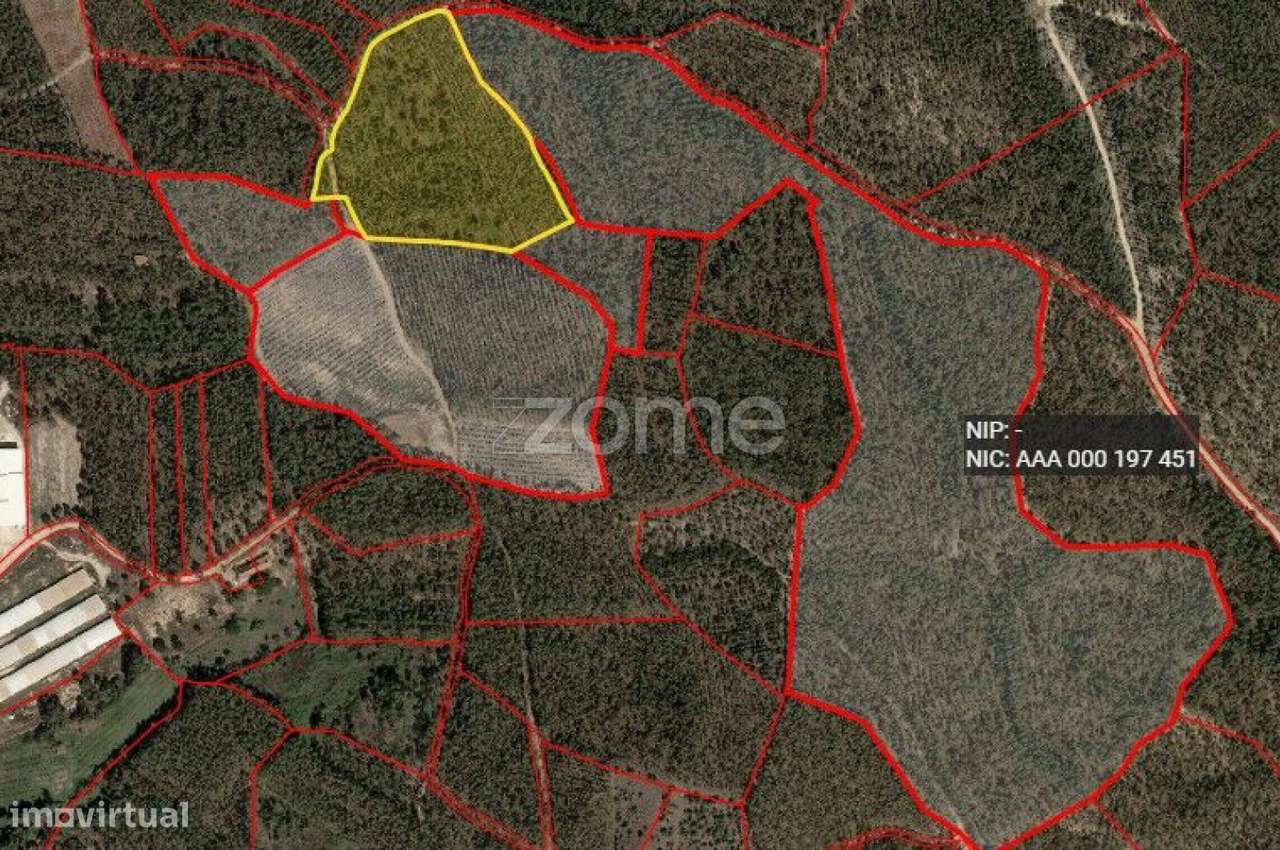 Terreno Rústico 1,6520 ha em Torres Vedras-10