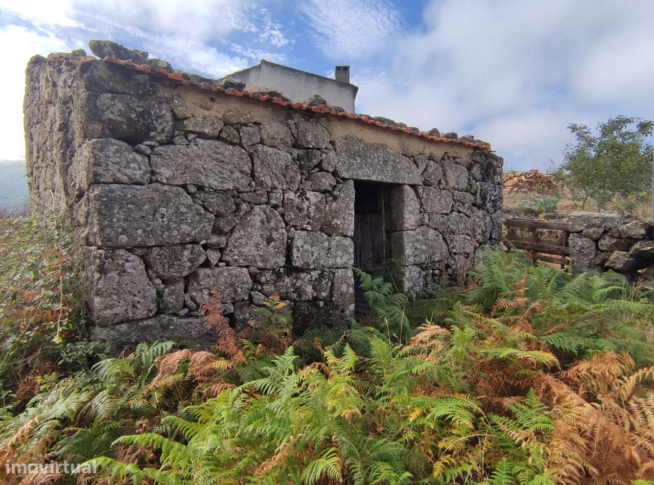 Quintinha  Venda em Figueiró da Serra e Freixo da Serra,Gouveia - Grande imagem: 4/6