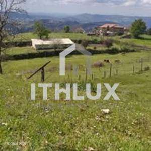 Quinta em Fornelos, Cinfães – 7 hectares de terreno - Grande imagem: 5/26