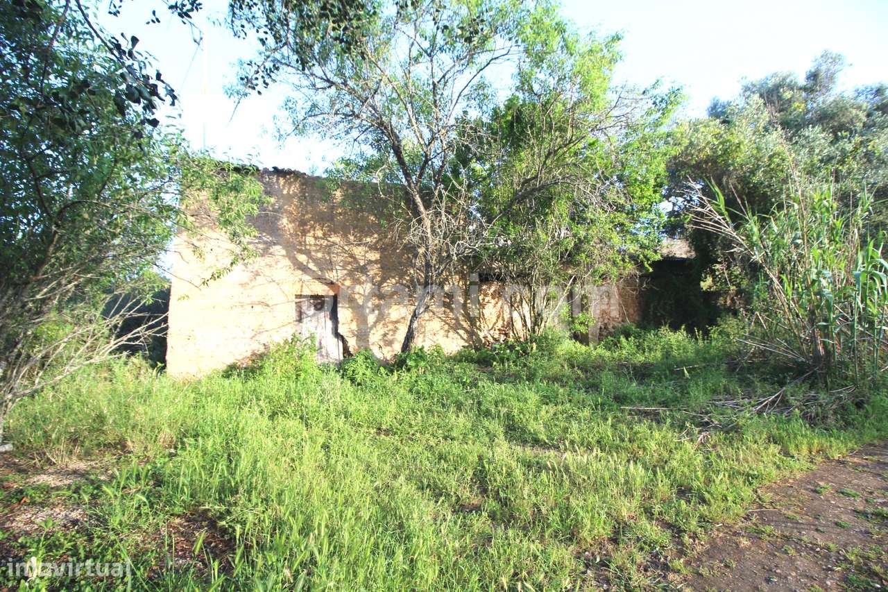 Terreno Para Construção  Venda em Alcantarilha e Pêra,Silves - Grande imagem: 3/13