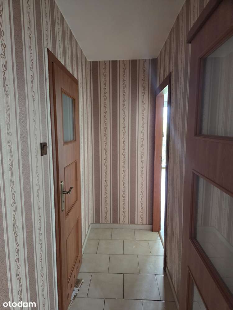 Centrum Zabrza z widokiem na Halę Sportową-5