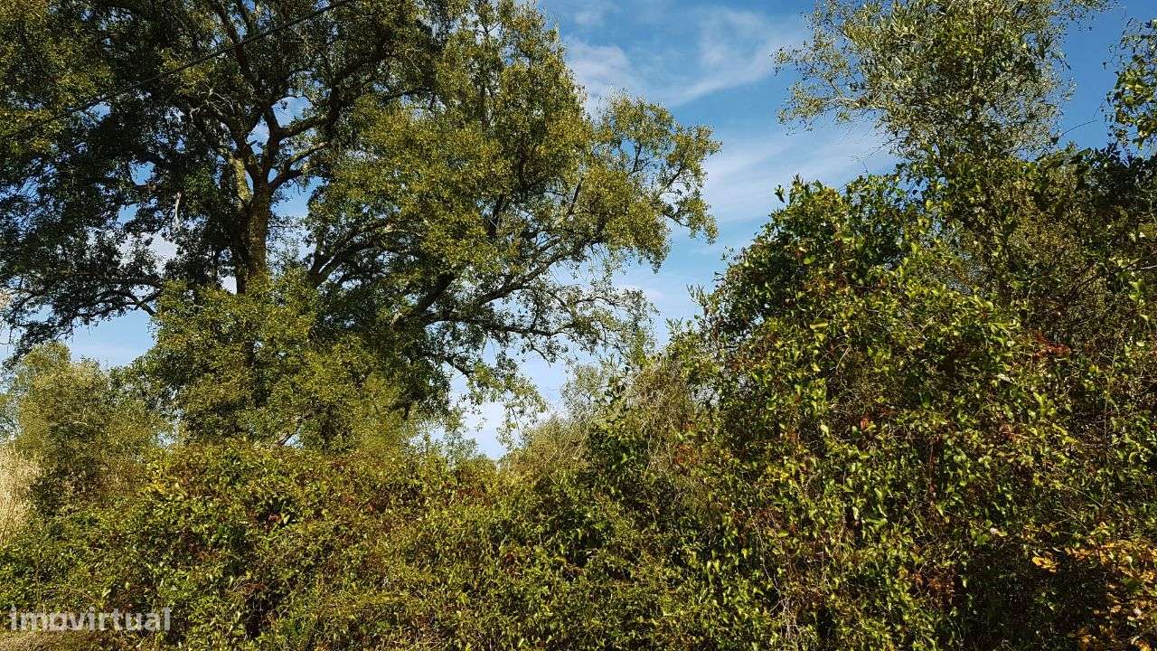 Quinta na Bairrada-12