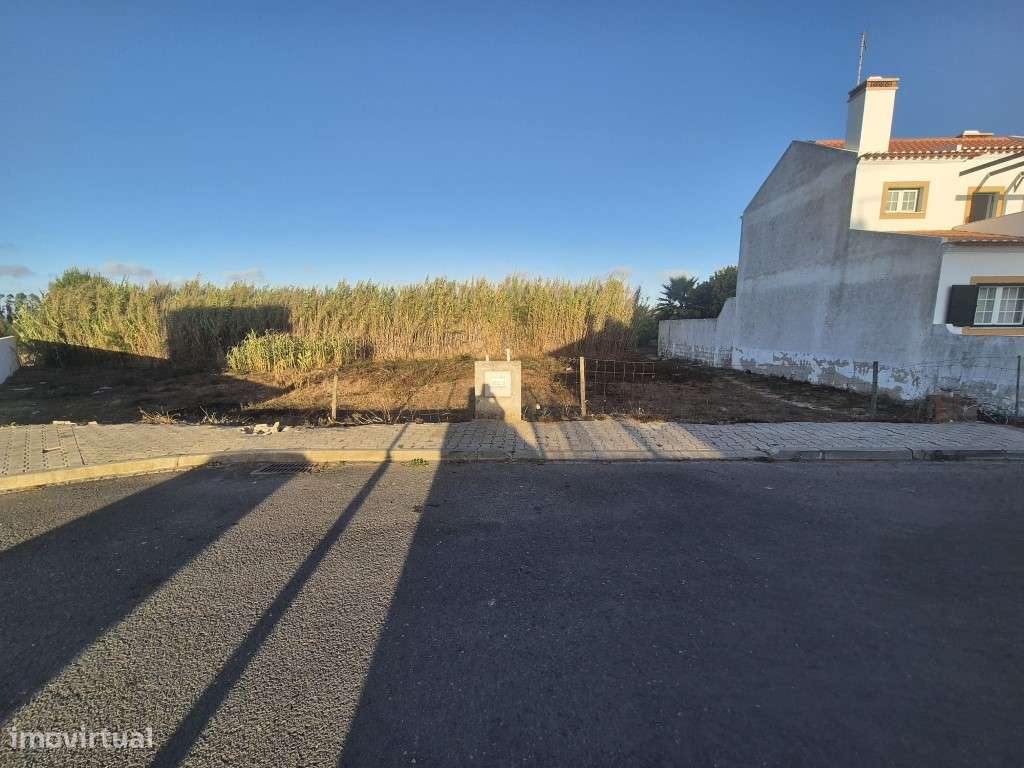 Lote no Almograve - Grande imagem: 4/16