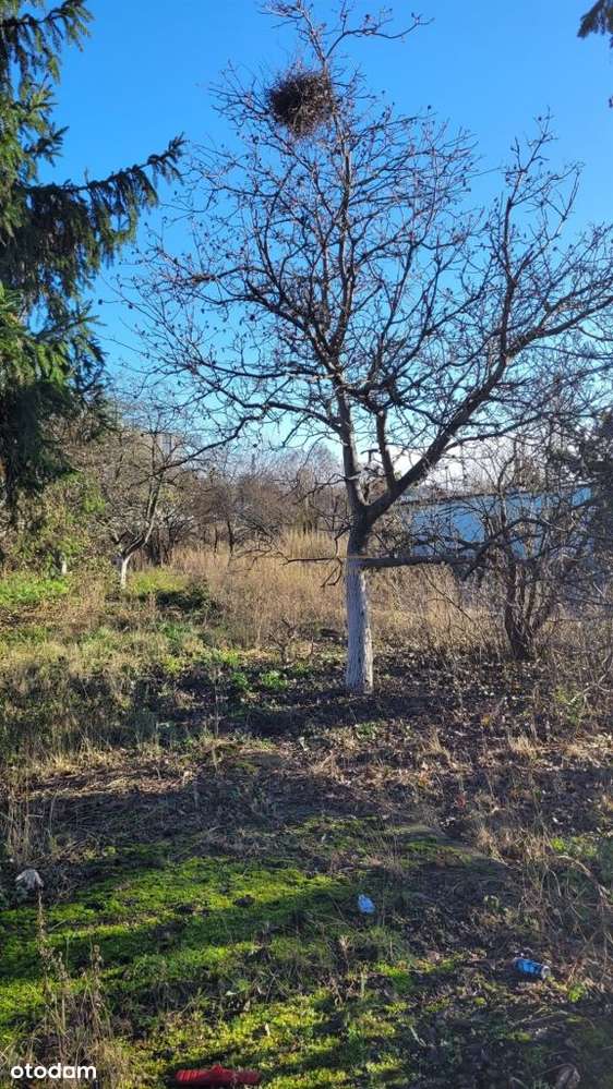 Działka Batorego, Budowlano - Usługowa, 706 M2-2