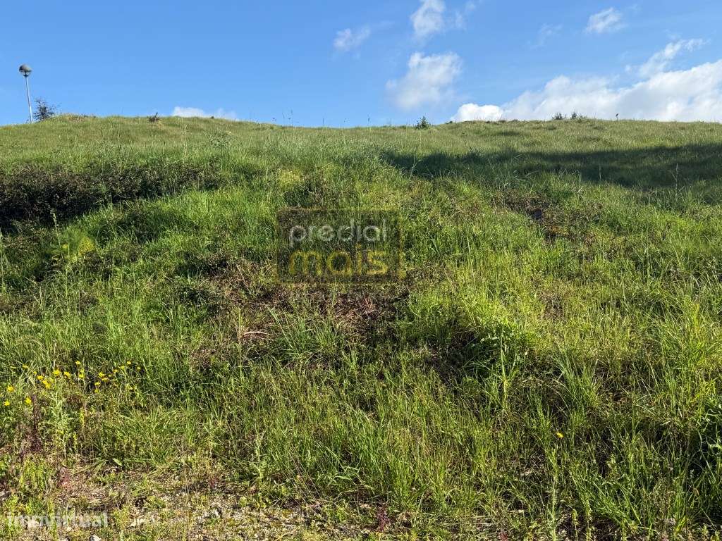 TERRENO CAVALÕES - Grande imagem: 2/4