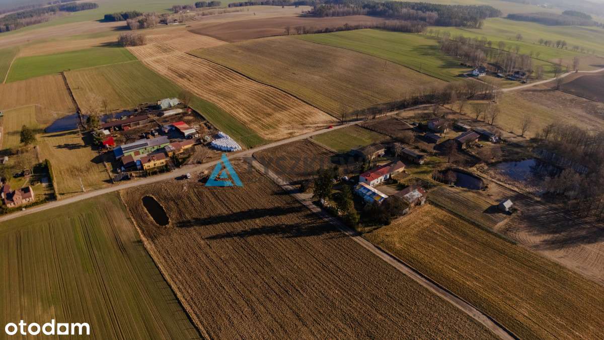 Działka w Pomysku Wielkim - Pełny obrazek: 4/14