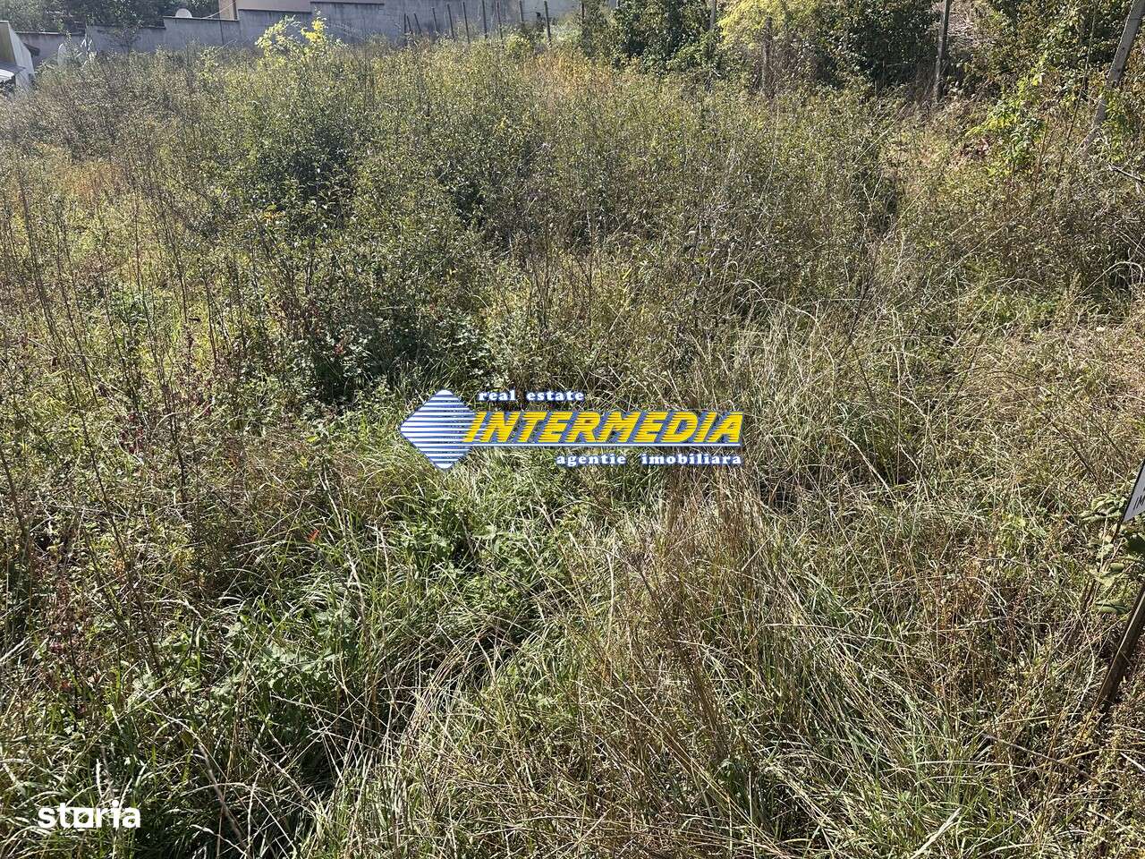 Teren intravilan de vanzare in Cetate zona superba 500 mp - Imagine principală: 4/4