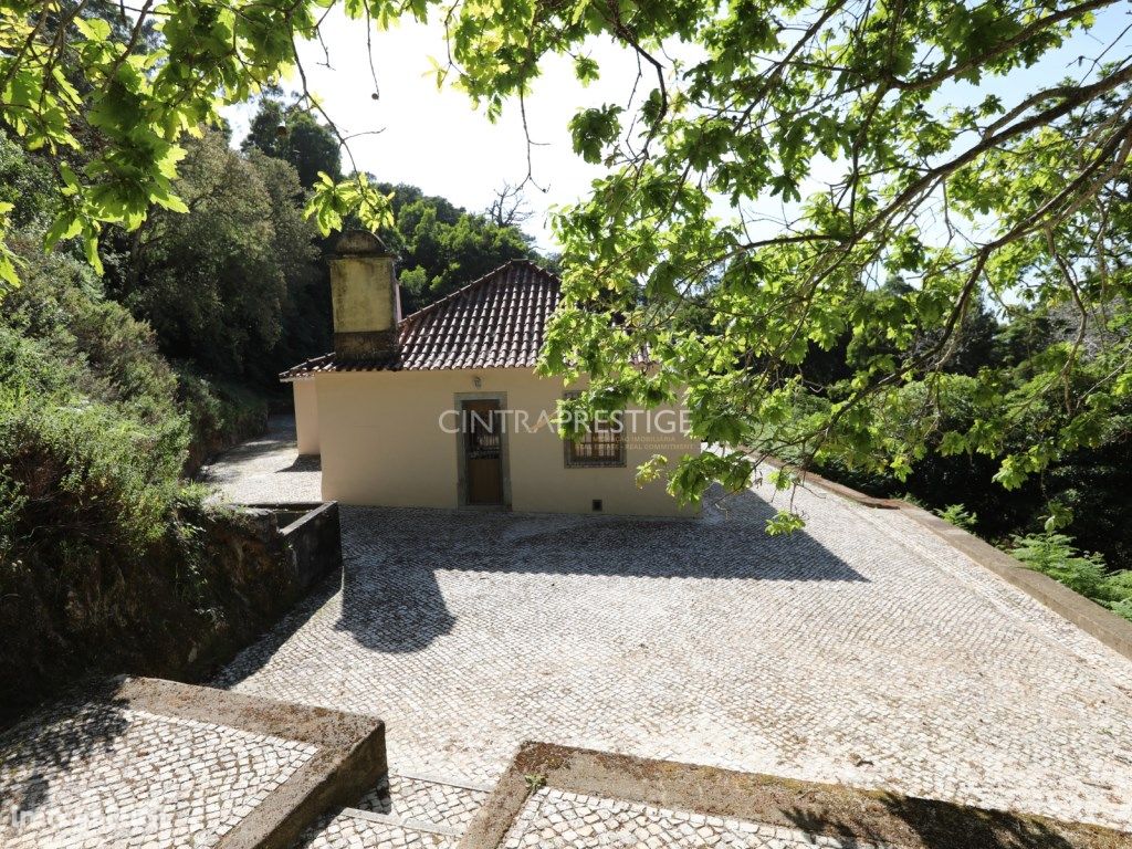 Quinta com 4,6 hectares terreno em pleno Coraçao da serra...