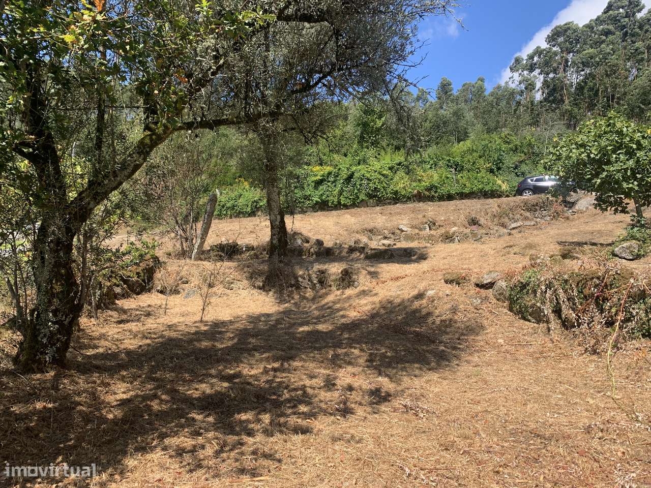 Terreno de 700m2 c/ Ruina-31