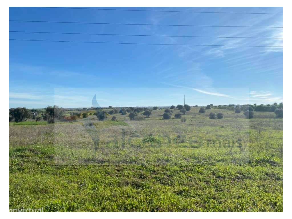 Herdade com 18 Hectares para Venda - próximo à cidade de Beja - Grande imagem: 3/18