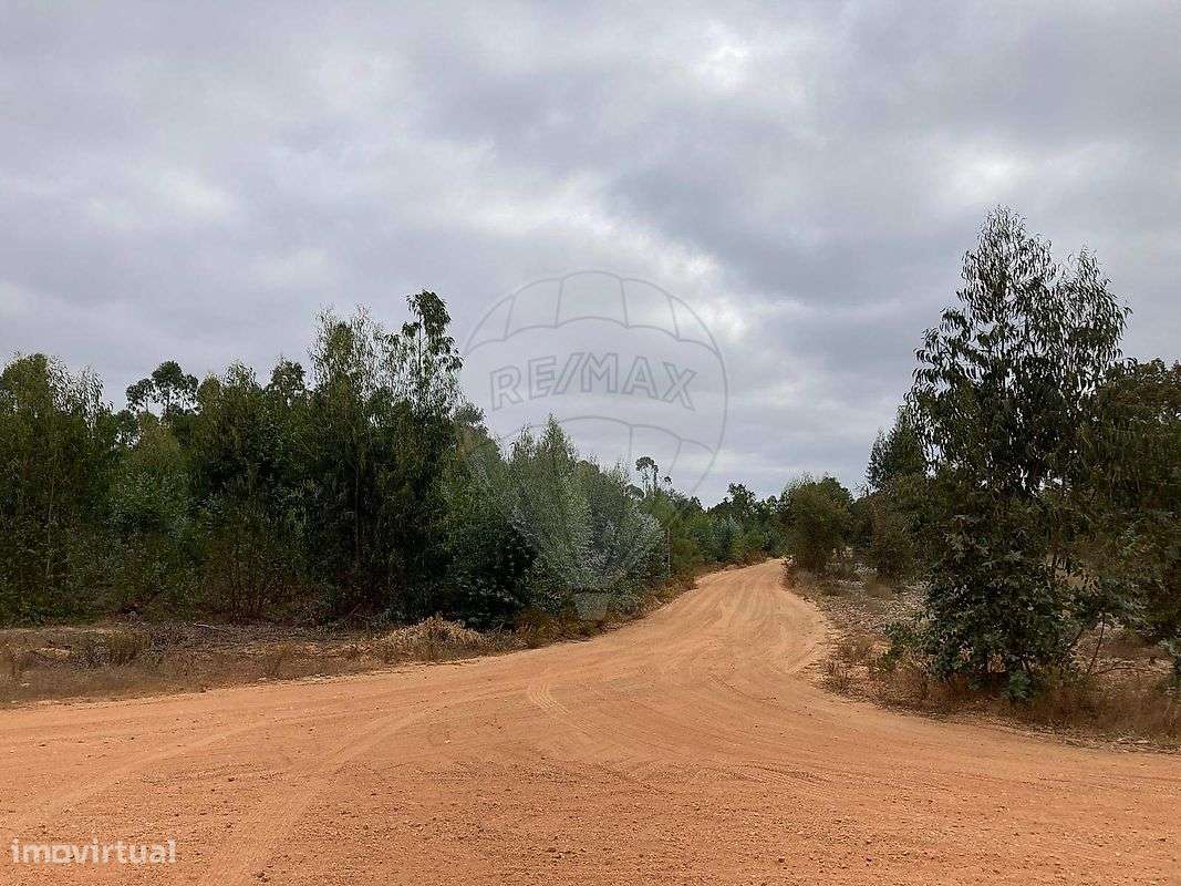 Terreno  para venda - Grande imagem: 5/24