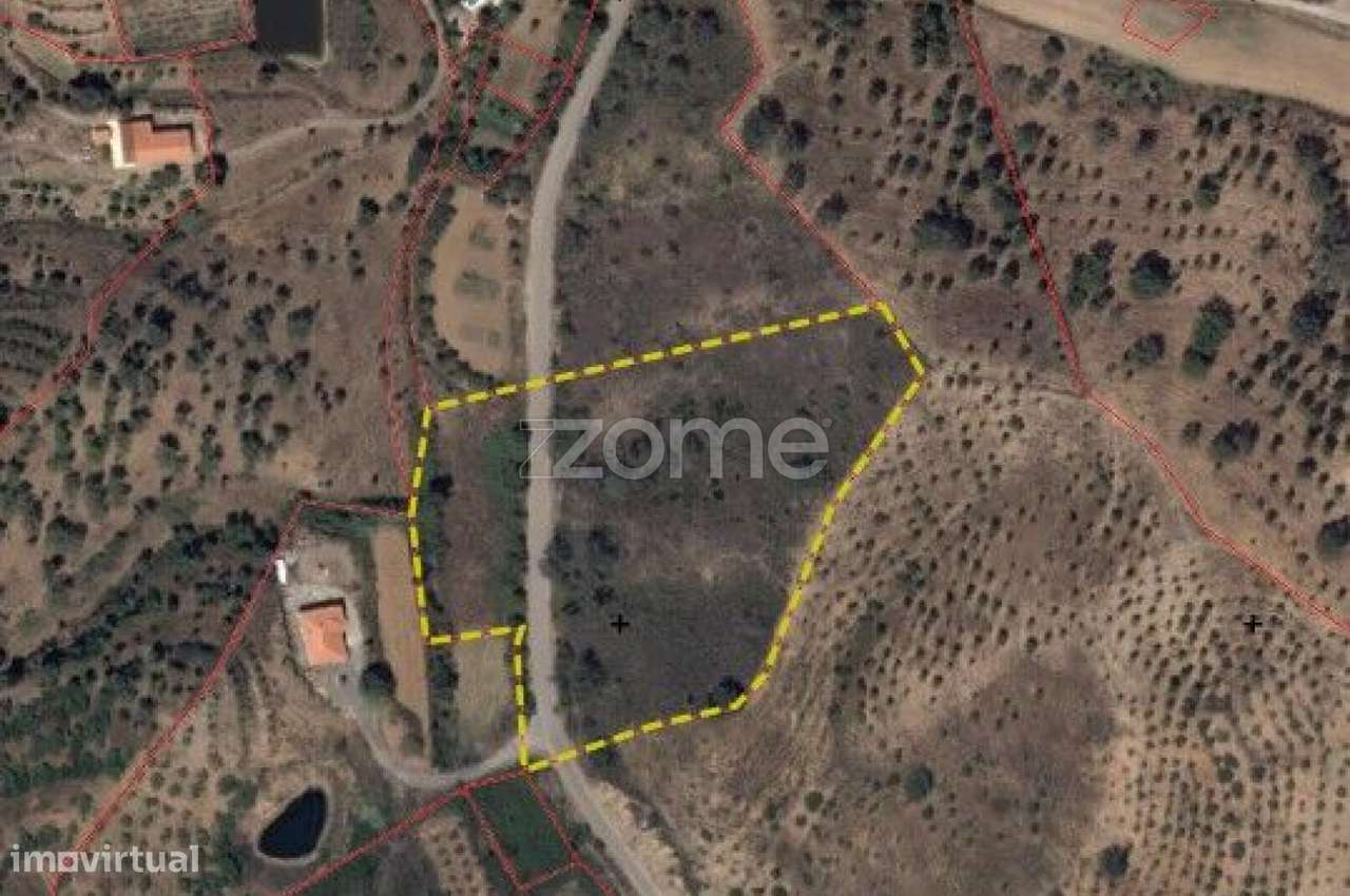 Terreno rústico com 12.560 m² em Vale Figueira, Messines. - Grande imagem: 4/15