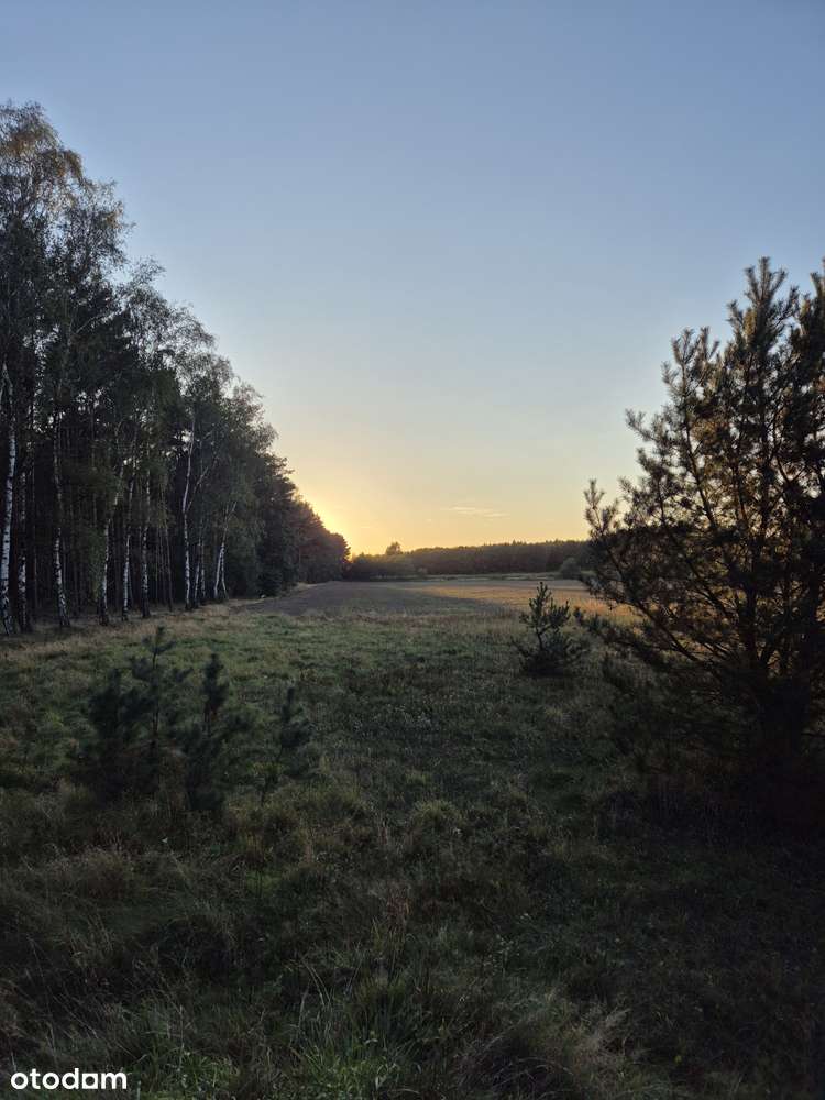 Działka budowlana przy lesie Niedoradz