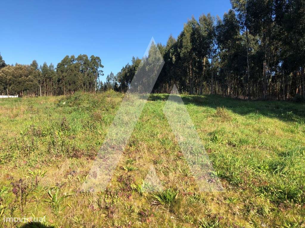 Terreno em Beduído - Estarreja - Grande imagem: 3/12