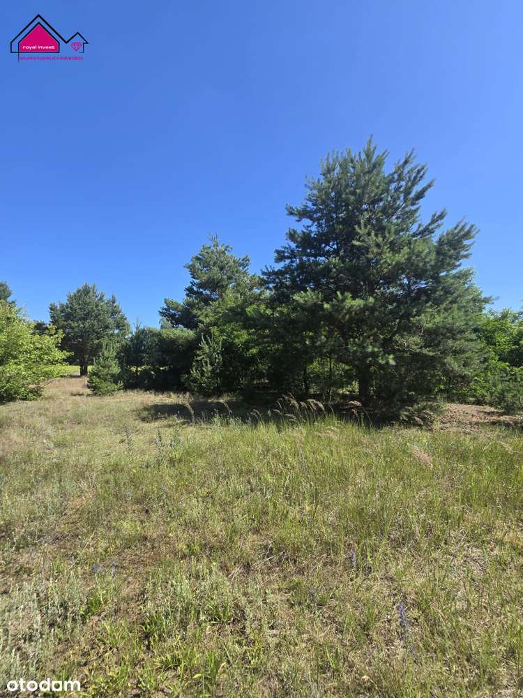 Piękna działka budowlana nieopodal lasu - Pełny obrazek: 5/6