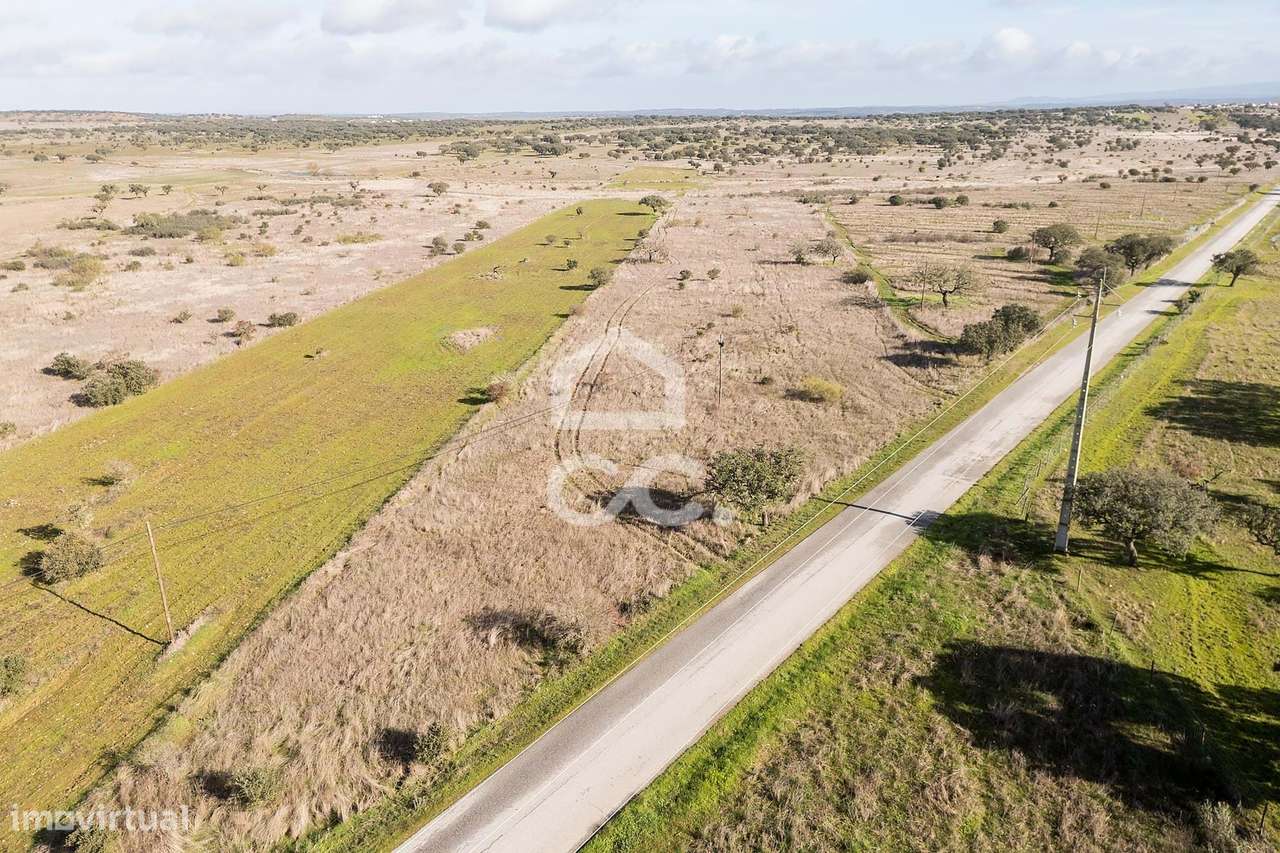 Terreno de 5,4 ha c/ Viabilidade de Construção | Capelins, Alandroal-15