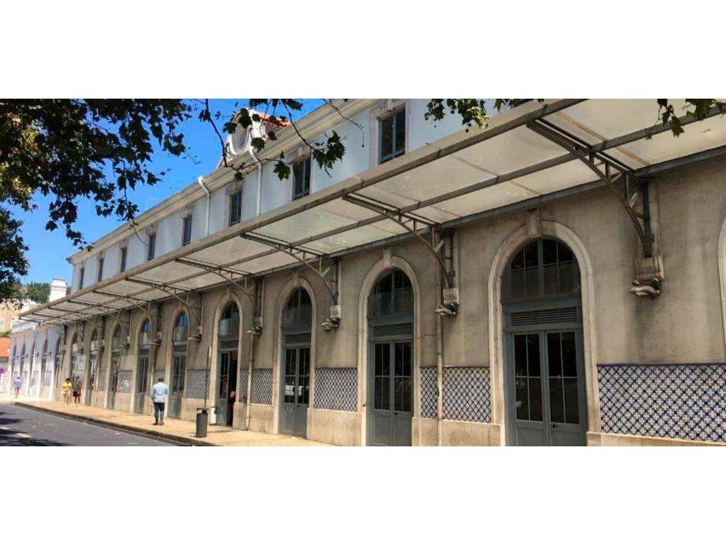 Loja, Estrela - Grande imagem: 4/14