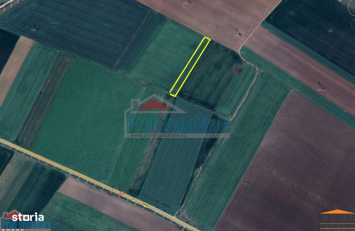 Teren extravilan in Gradiste 3500 mp - Imagine principală: 4/4