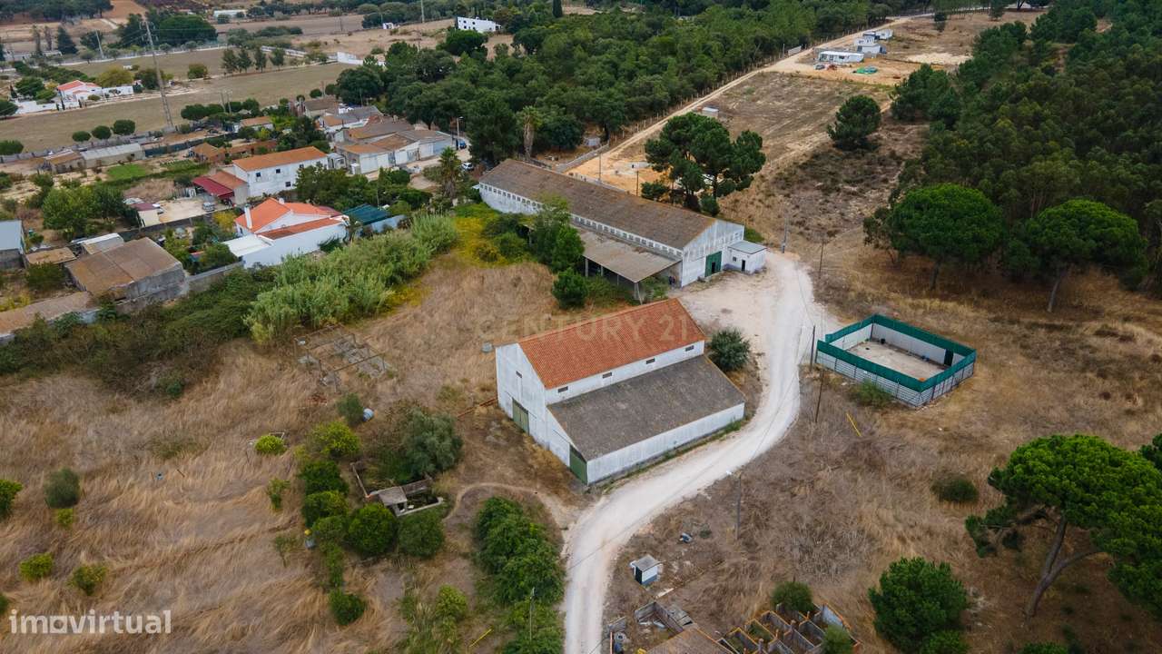 Quinta dos Batudes Palmela - Grande imagem: 5/20