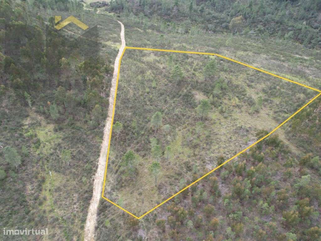 Terreno rústico com 8.400m2 para venda em Salgueiro do Campo! - Grande imagem: 2/5