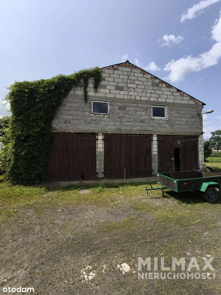 Magazyn w okazyjnej cenie-17