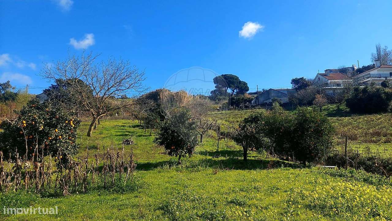 Terreno  para venda-33