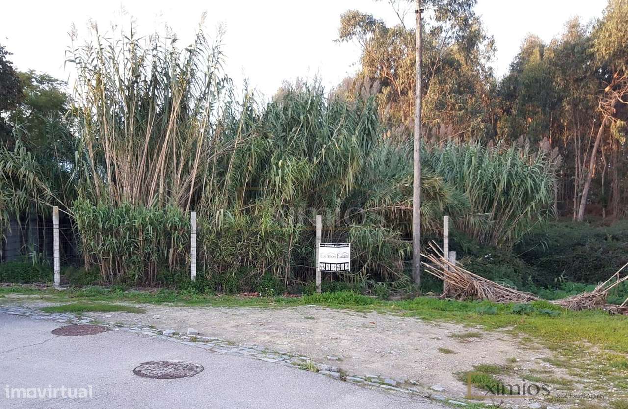 Terreno, para venda, em Argivai - Grande imagem: 2/6