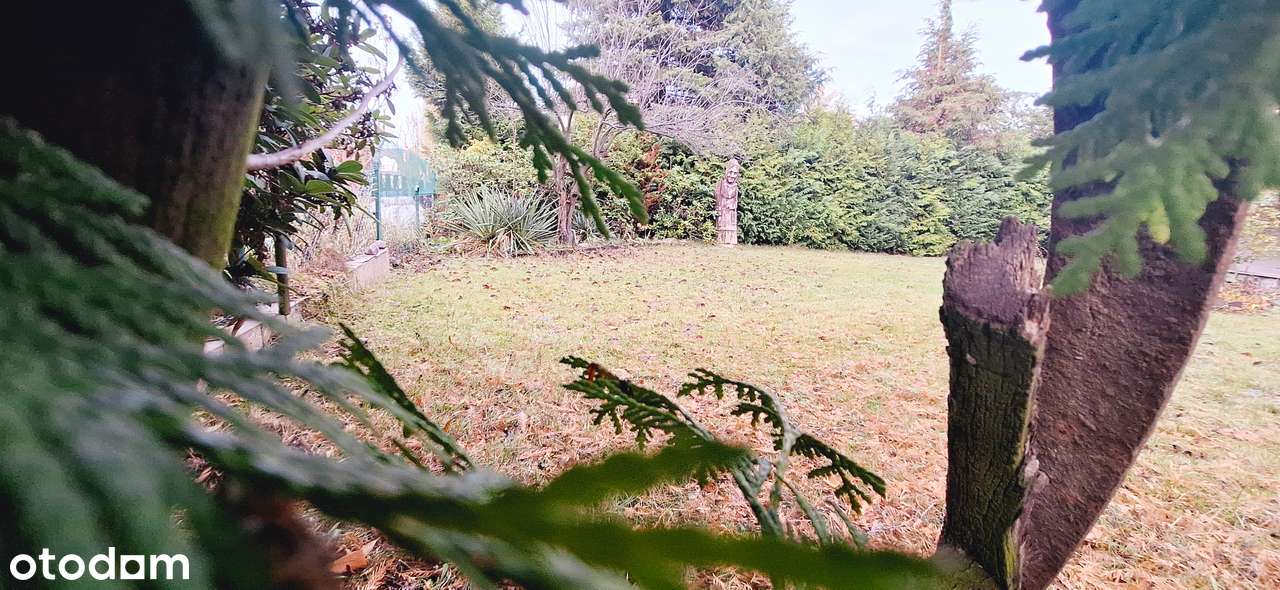 Dom z potencjałem na os. Górczyn - Pełny obrazek: 4/19