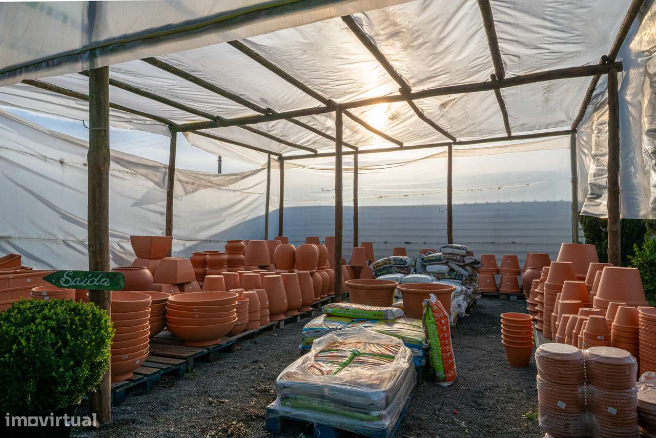 Trespasse de Centro de Jardinagem – Negócio Completo e Equipado - Beja-5