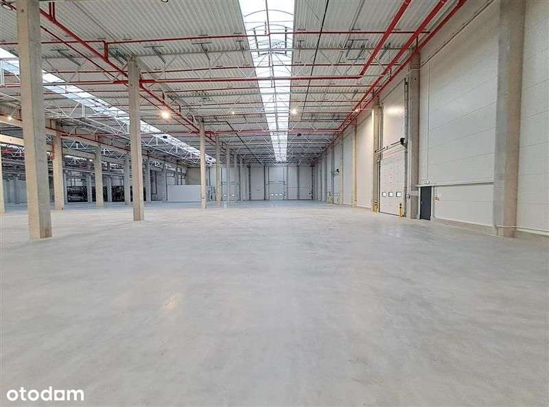 Nowoczesny obiekt magazynowo-produkcyjny przy tras - Pełny obrazek: 4/8