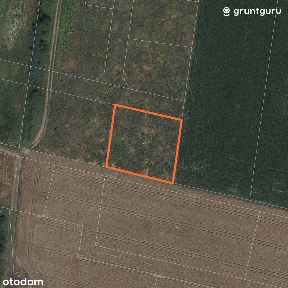 DZIAŁKA POD BLIŹNIAKA. POZNAŃ- w trakcie uzbrajania.-5