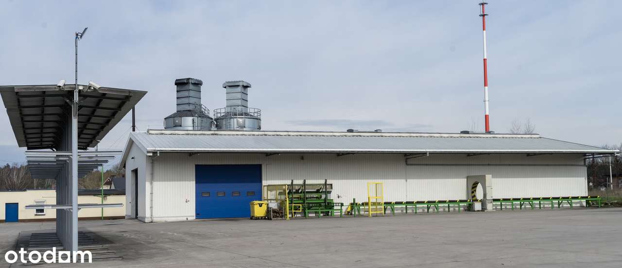 Wynajmę lub sprzedam halę - Pełny obrazek: 4/13