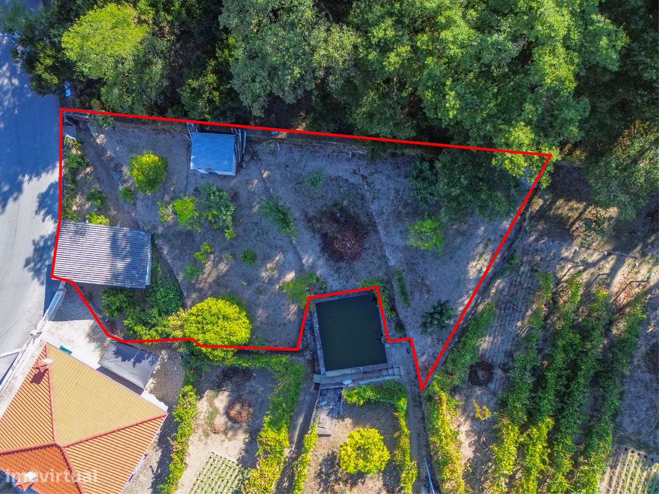 Terreno  Venda em Santa Cruz do Douro e São Tomé de Covelas,Baião - Grande imagem: 2/13