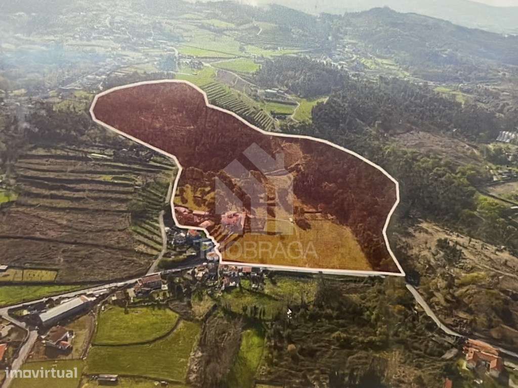 Venda Quinta com 11 Hectares, em Guimarães - Grande imagem: 5/34
