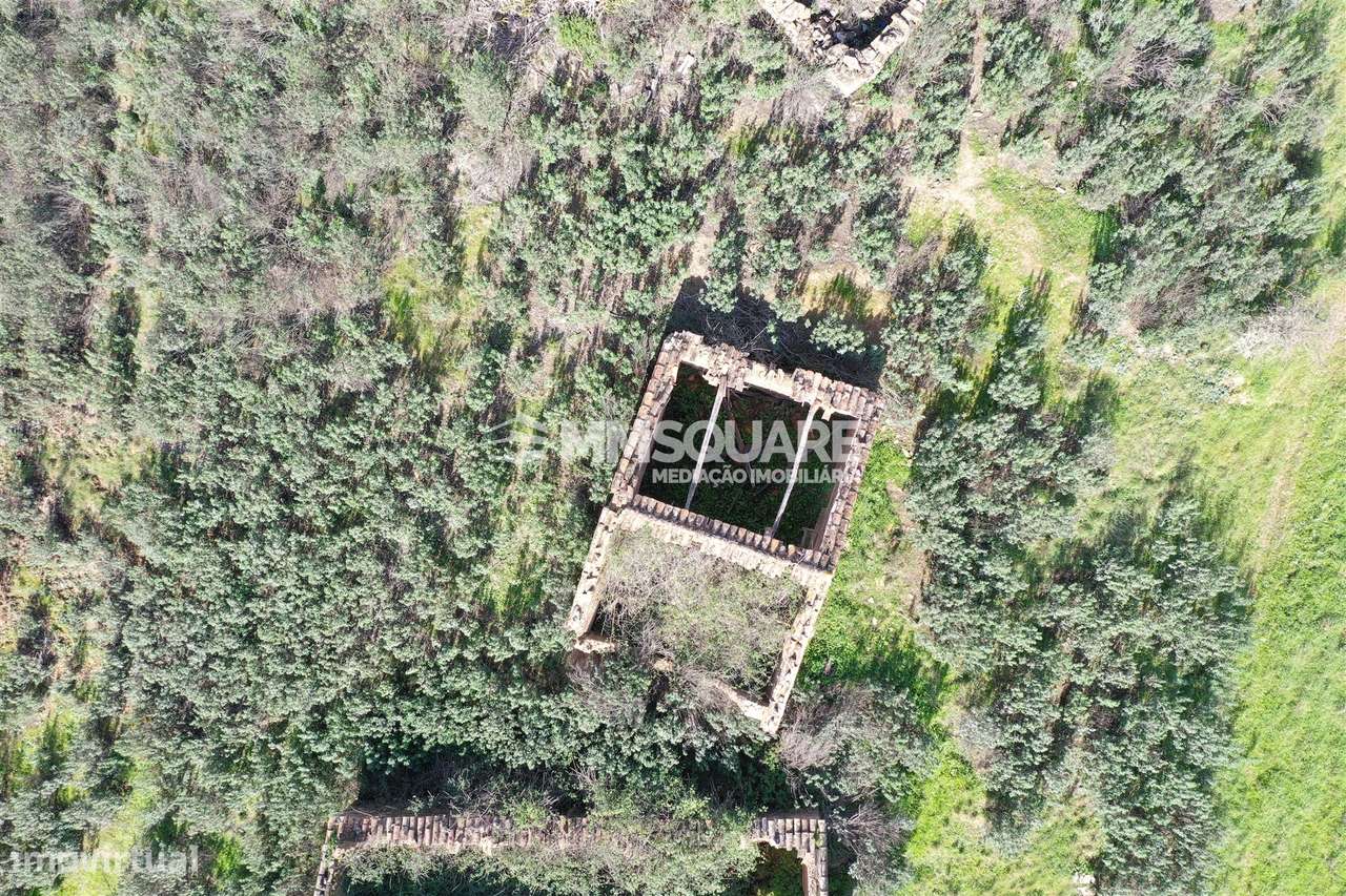 Herdade  Venda em Santana da Serra,Ourique - Grande imagem: 5/15