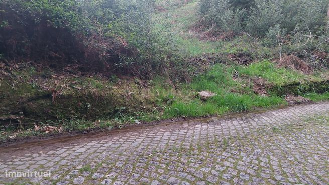 Terreno Rustico em Crestuma, Vila Nova de Gaia-6