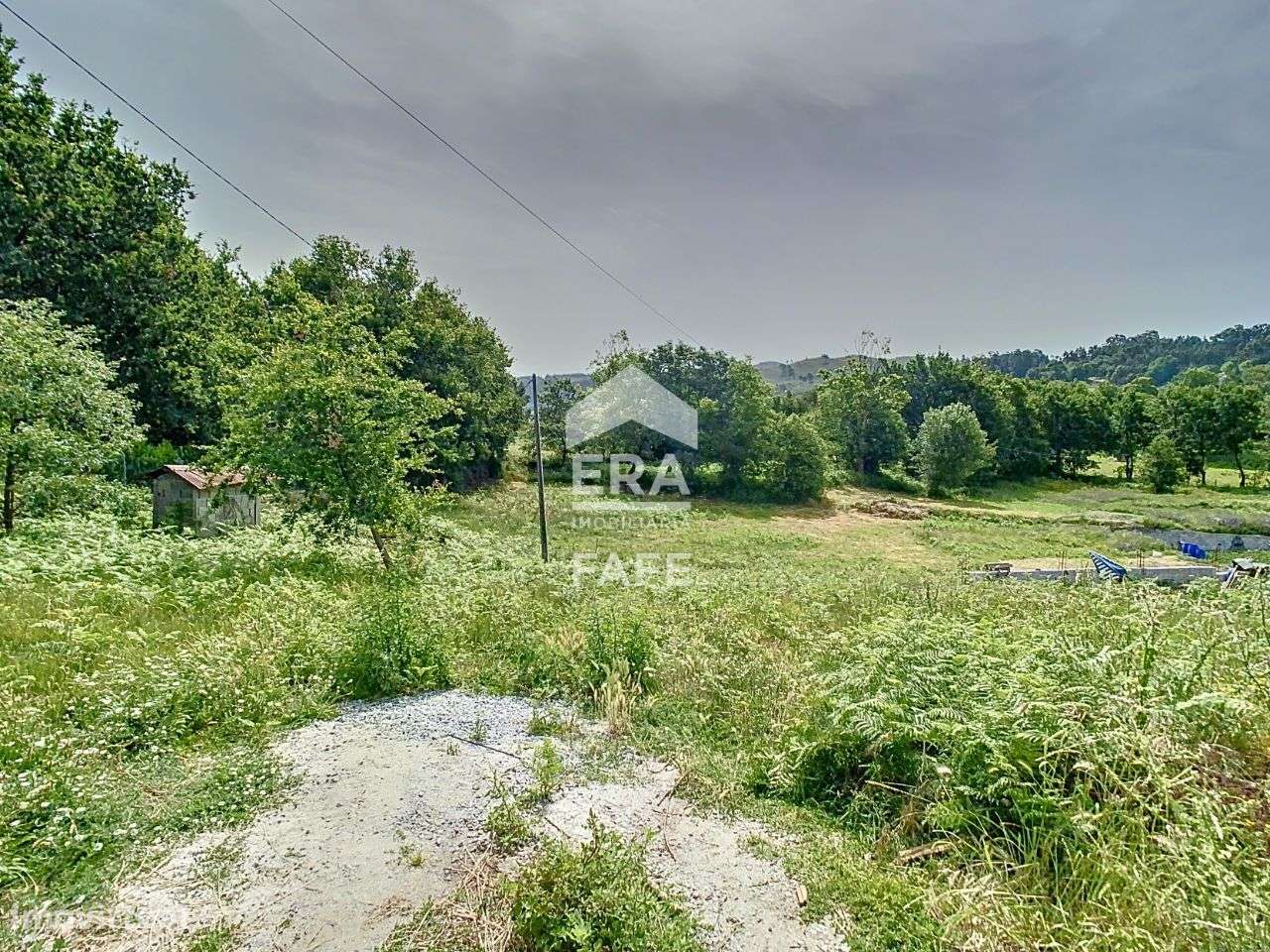 Terreno com 7.500 m2 em Quinchães - Grande imagem: 3/11