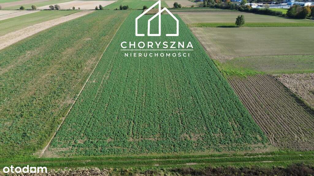 Namysłów - Stare Miasto - działka budowlana-9