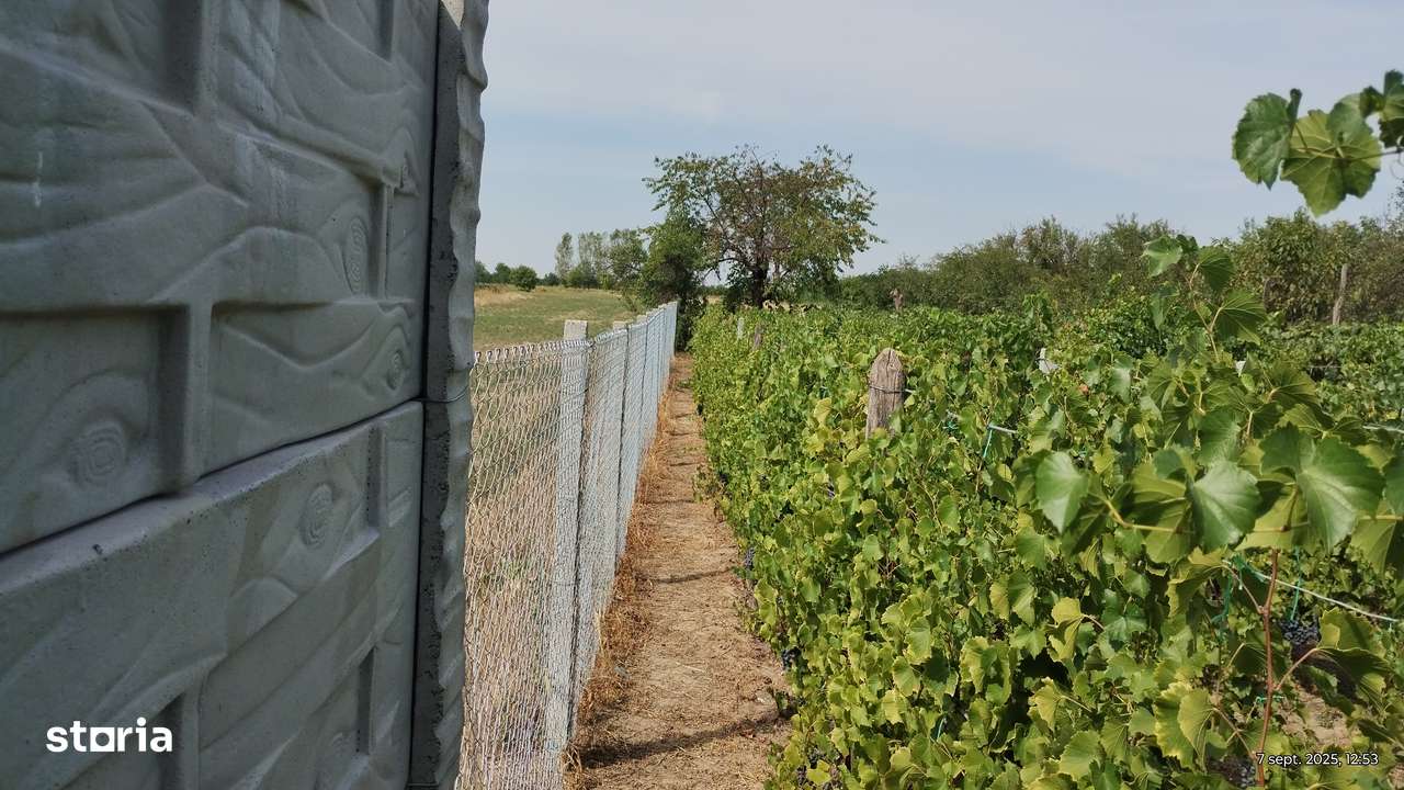 Casa La Tara , Celaru , Dolj - Imagine principală: 5/11