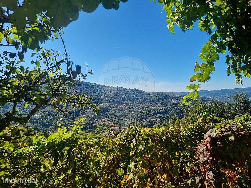 Quinta  para venda-24