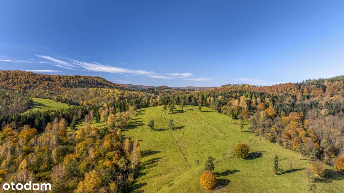 Jezioro Solińskie | Zobacz film | Bieszczady-17