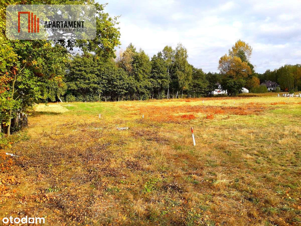 Tylko U Nas !!! Toporzysko 1000 M2 - Las Icisza - Pełny obrazek: 5/12