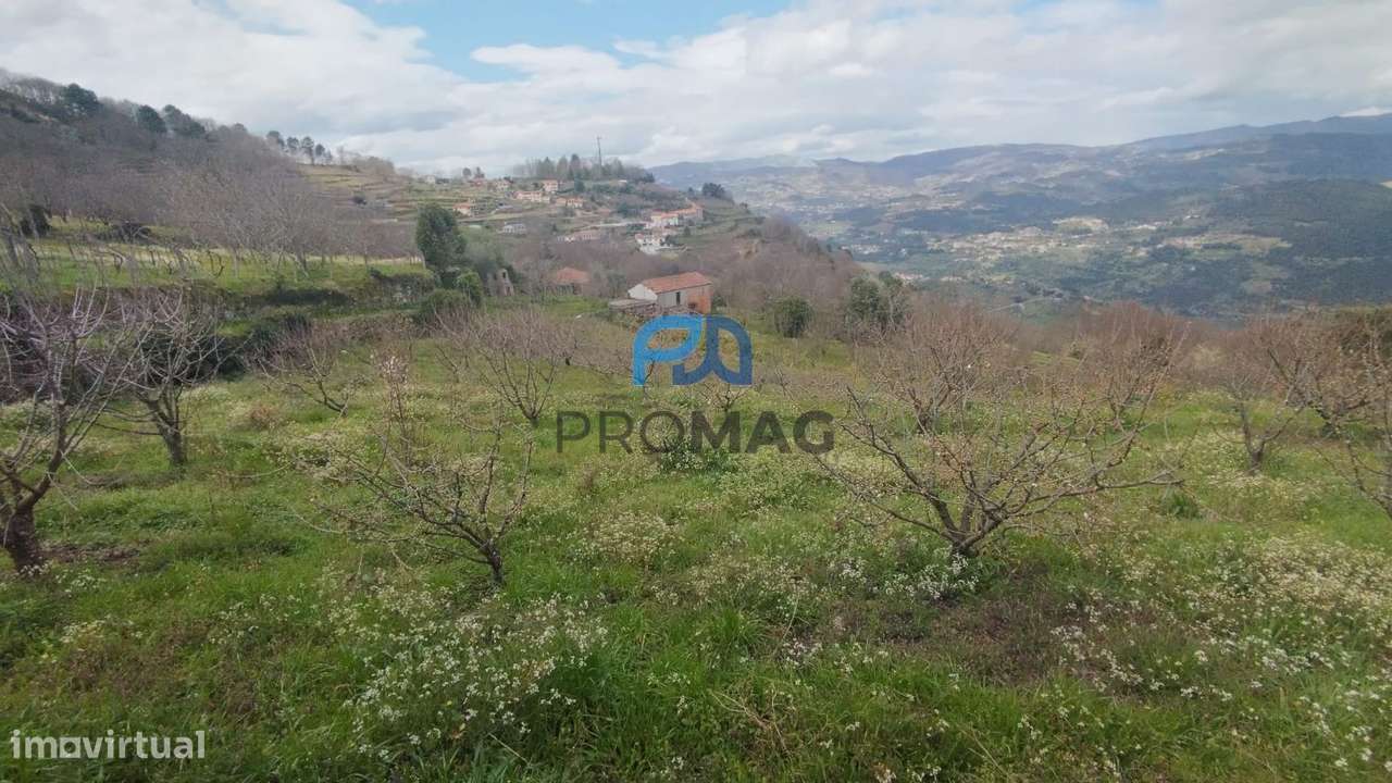 Terreno Urbanizável de 7959 m² com Armazém-7