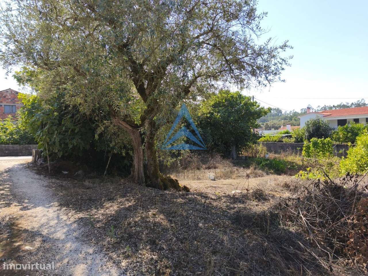 Terreno Urbano com Ruína - Grande imagem: 4/50